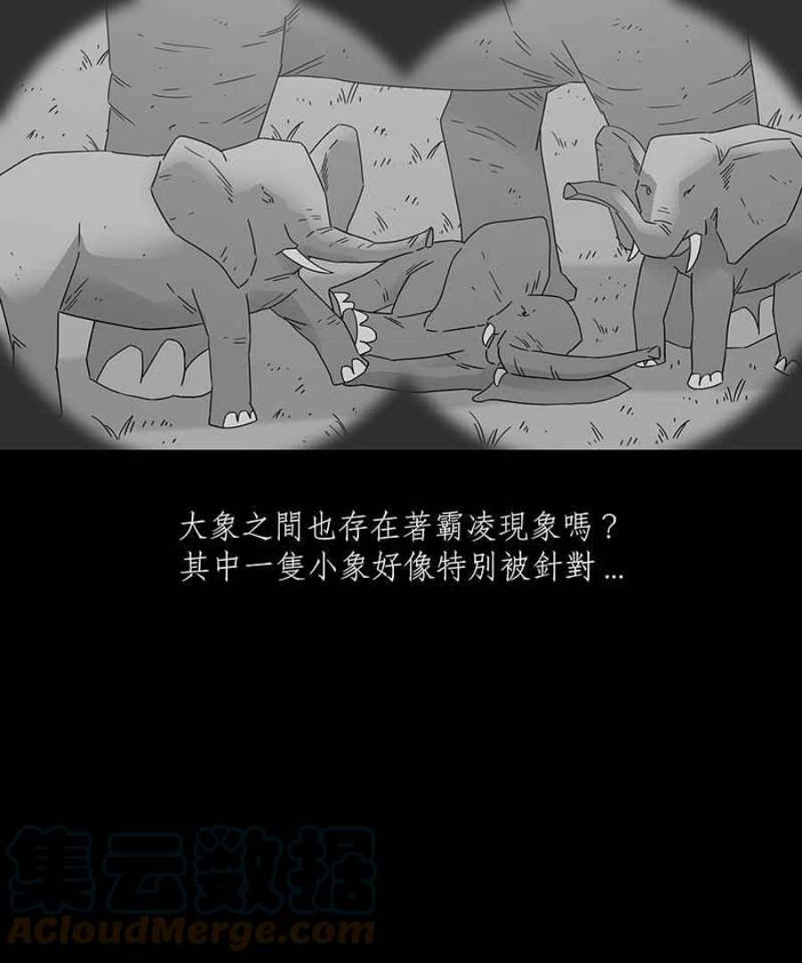 黑盒子app官网漫画,[第199话] 摄象者(2)3图