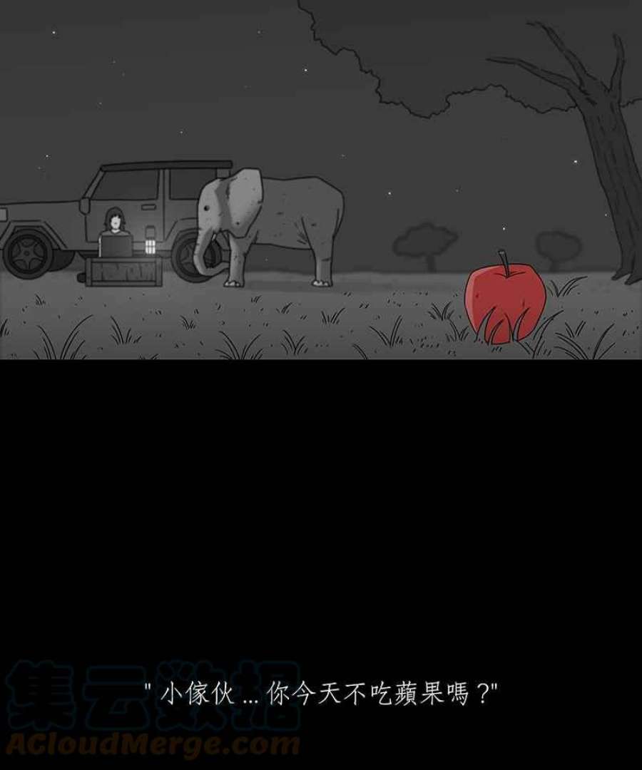 黑盒子的香烟漫画,[第200话] 摄象者(3)16图