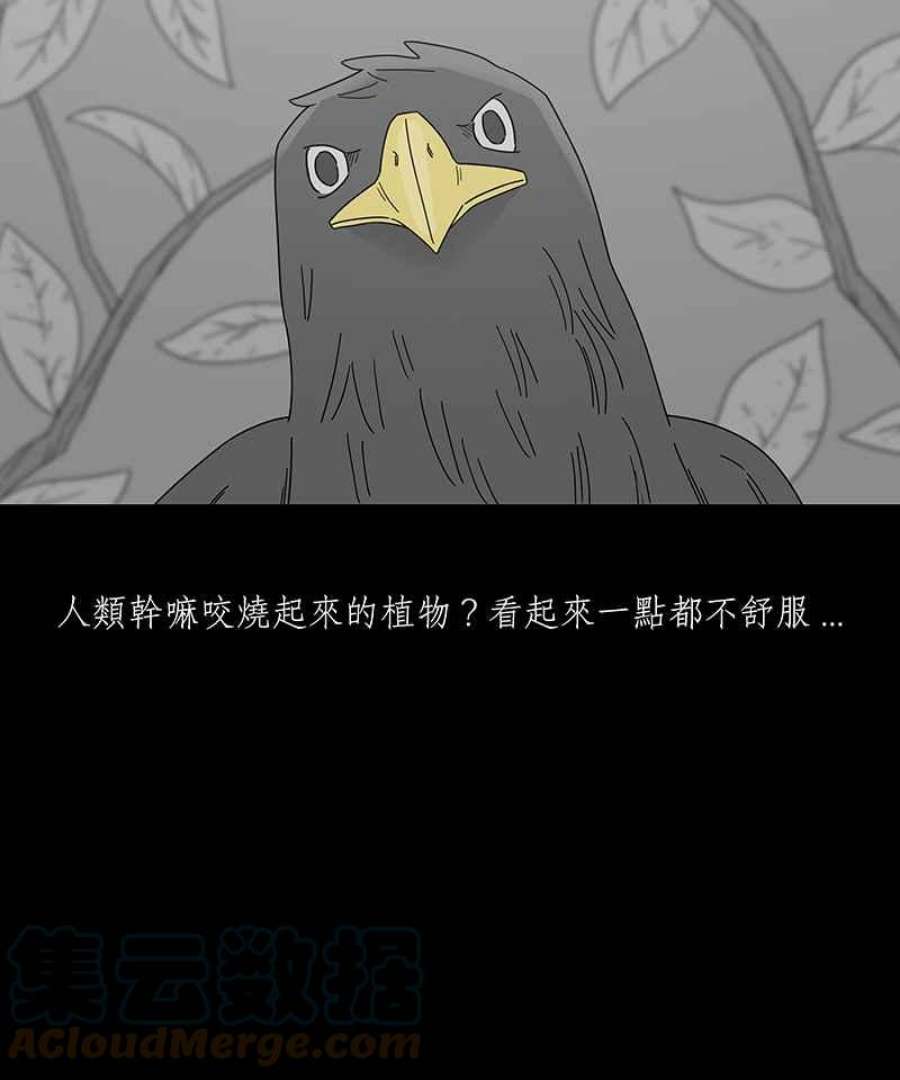 黑盒子的香烟漫画,[第204话] 孤芳(1)7图