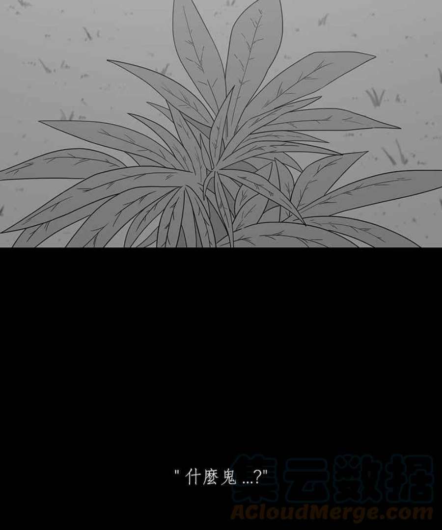 黑盒子的香烟漫画,[第204话] 孤芳(1)19图