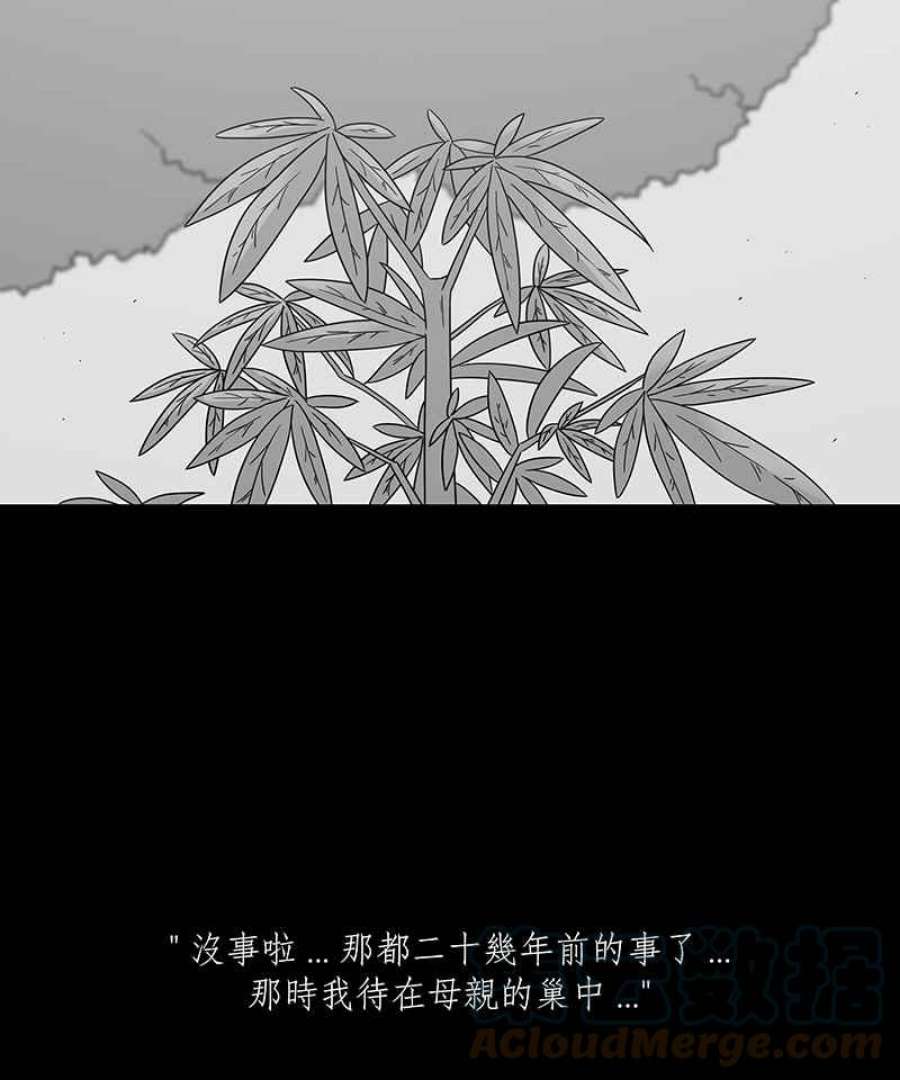 黑盒子悟空地图漫画,[第206话] 孤芳(3)9图