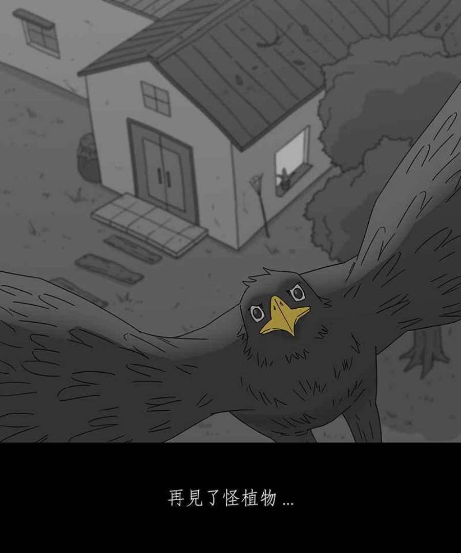 黑盒子的香烟漫画,[第207话] 孤芳(4)32图