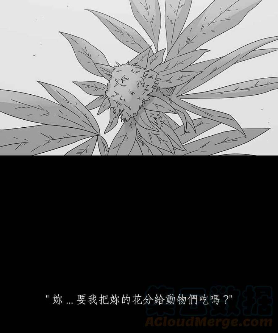 黑盒子的香烟漫画,[第207话] 孤芳(4)11图