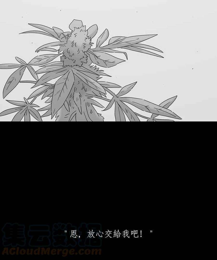 黑盒子的香烟漫画,[第207话] 孤芳(4)13图