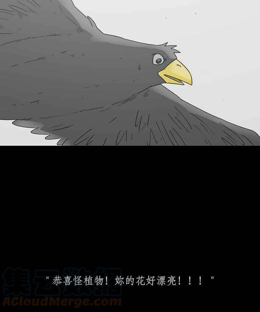 黑盒子的香烟漫画,[第207话] 孤芳(4)3图