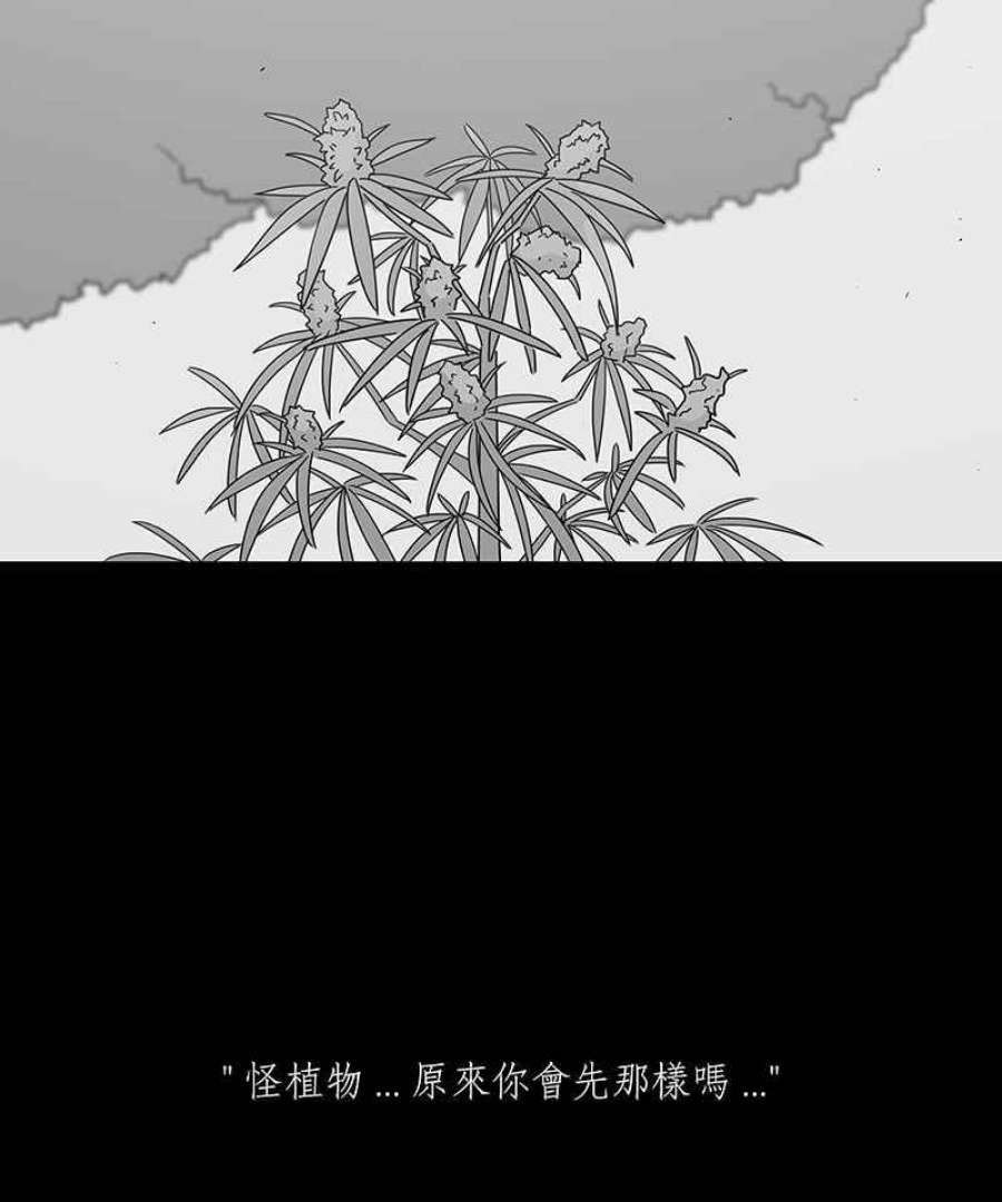 黑盒子的香烟漫画,[第207话] 孤芳(4)8图