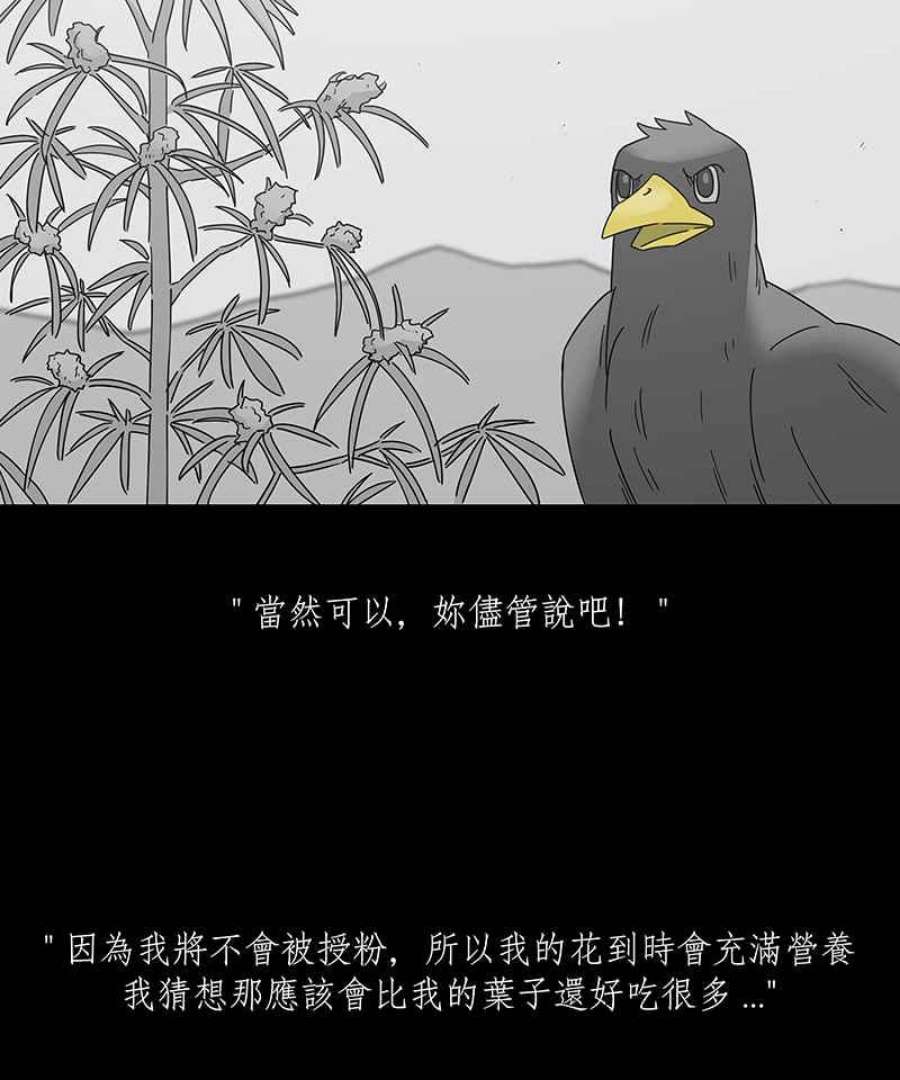 黑盒子的香烟漫画,[第207话] 孤芳(4)10图