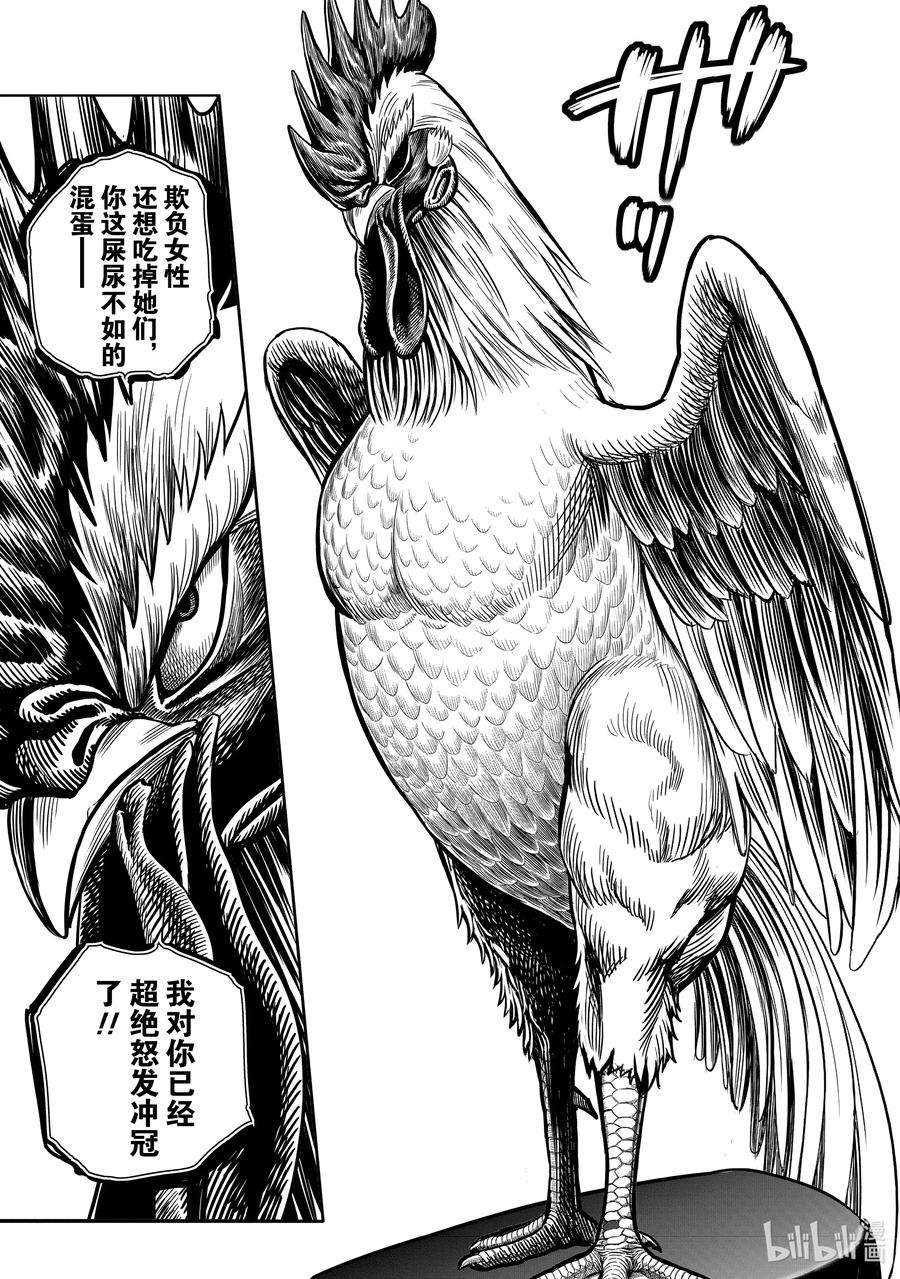 鸡斗士漫画,第6只 鹄面鸟形 14图