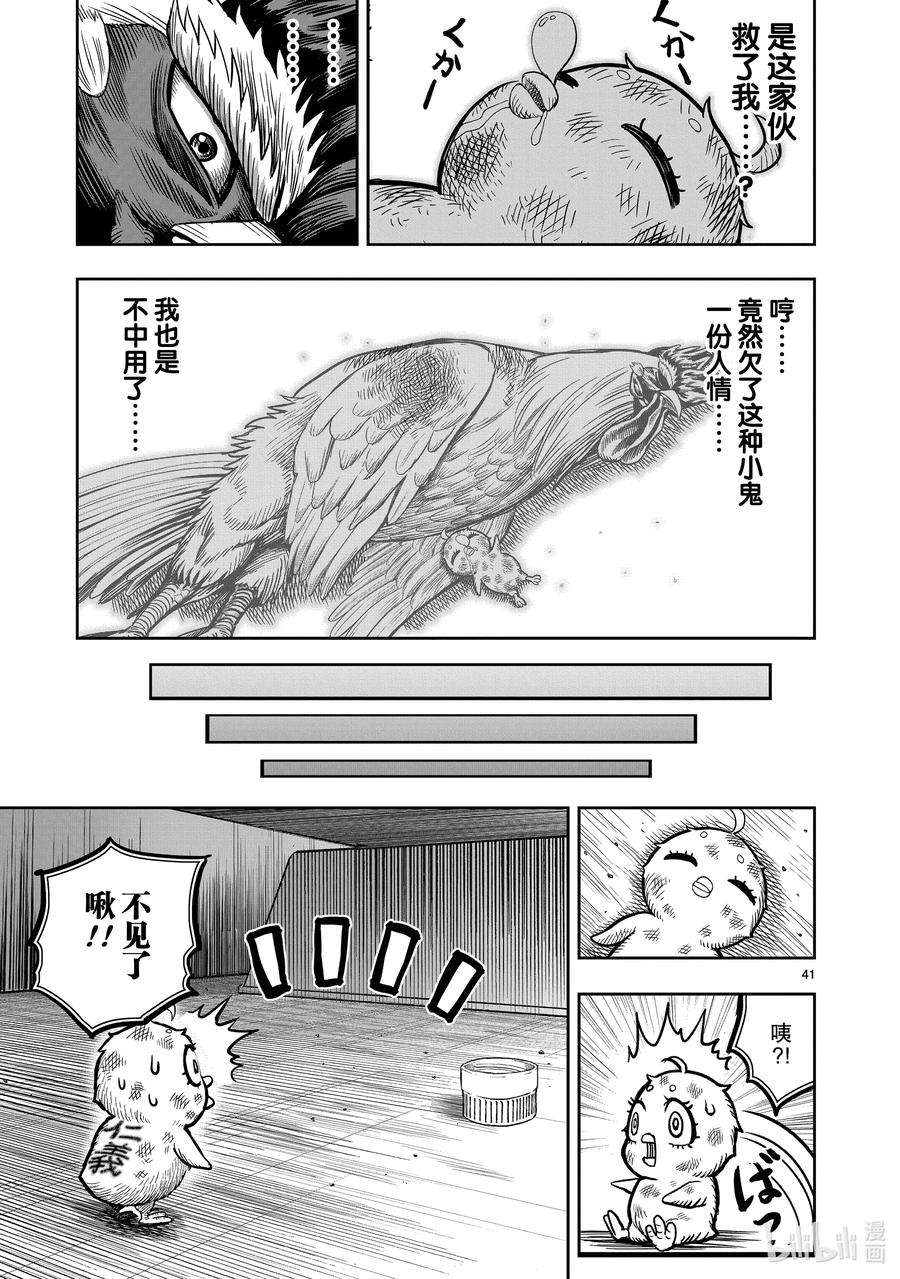 鸡斗士漫画,第6只 鹄面鸟形 44图