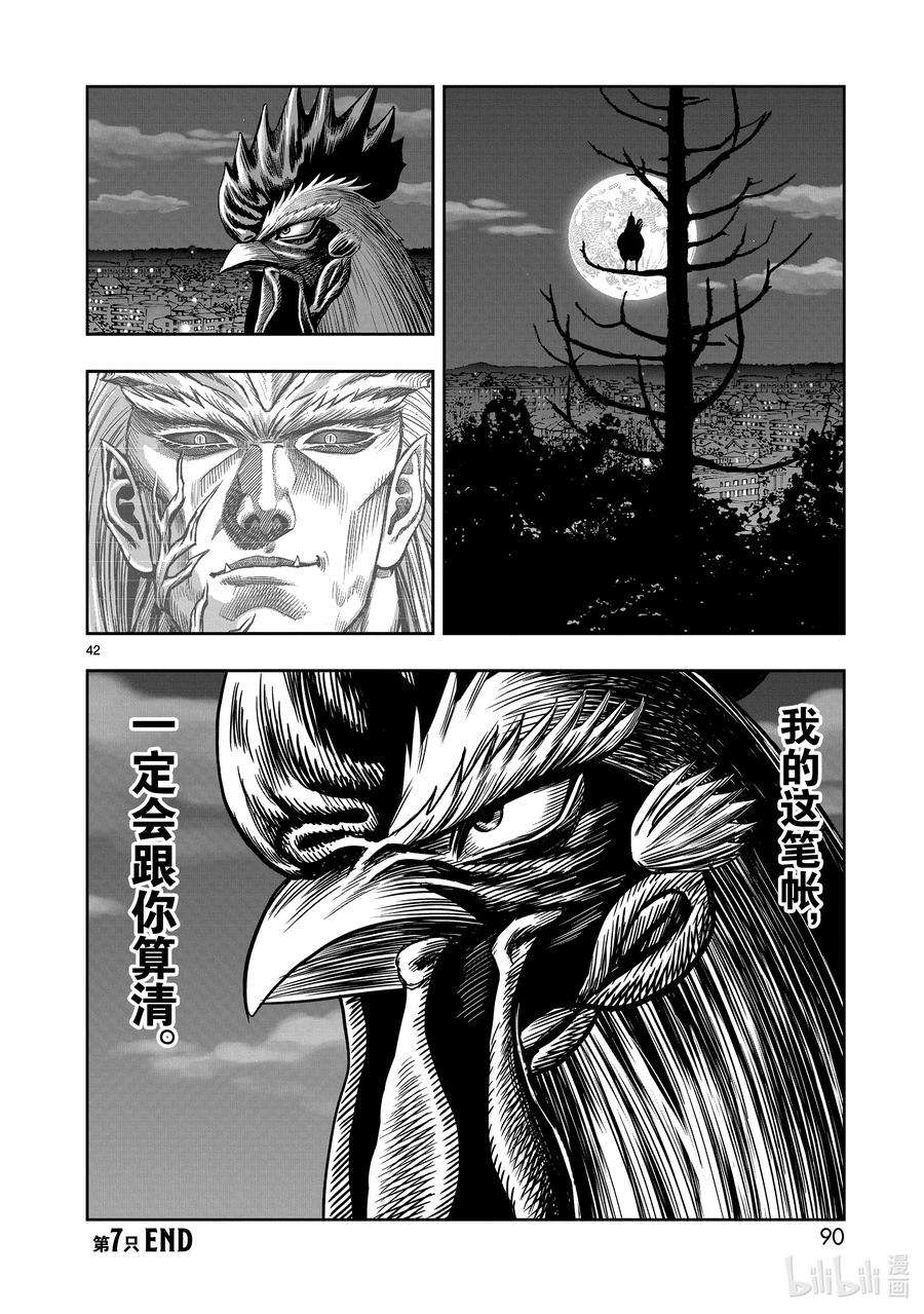 鸡斗士漫画,第7只 笼鸟槛猿 42图