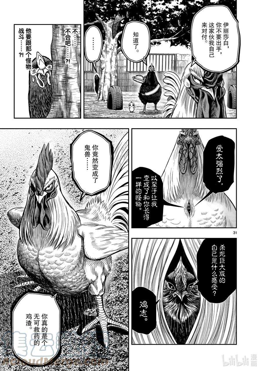 鸡斗士漫画,第11只 鸟尽弓藏 34图