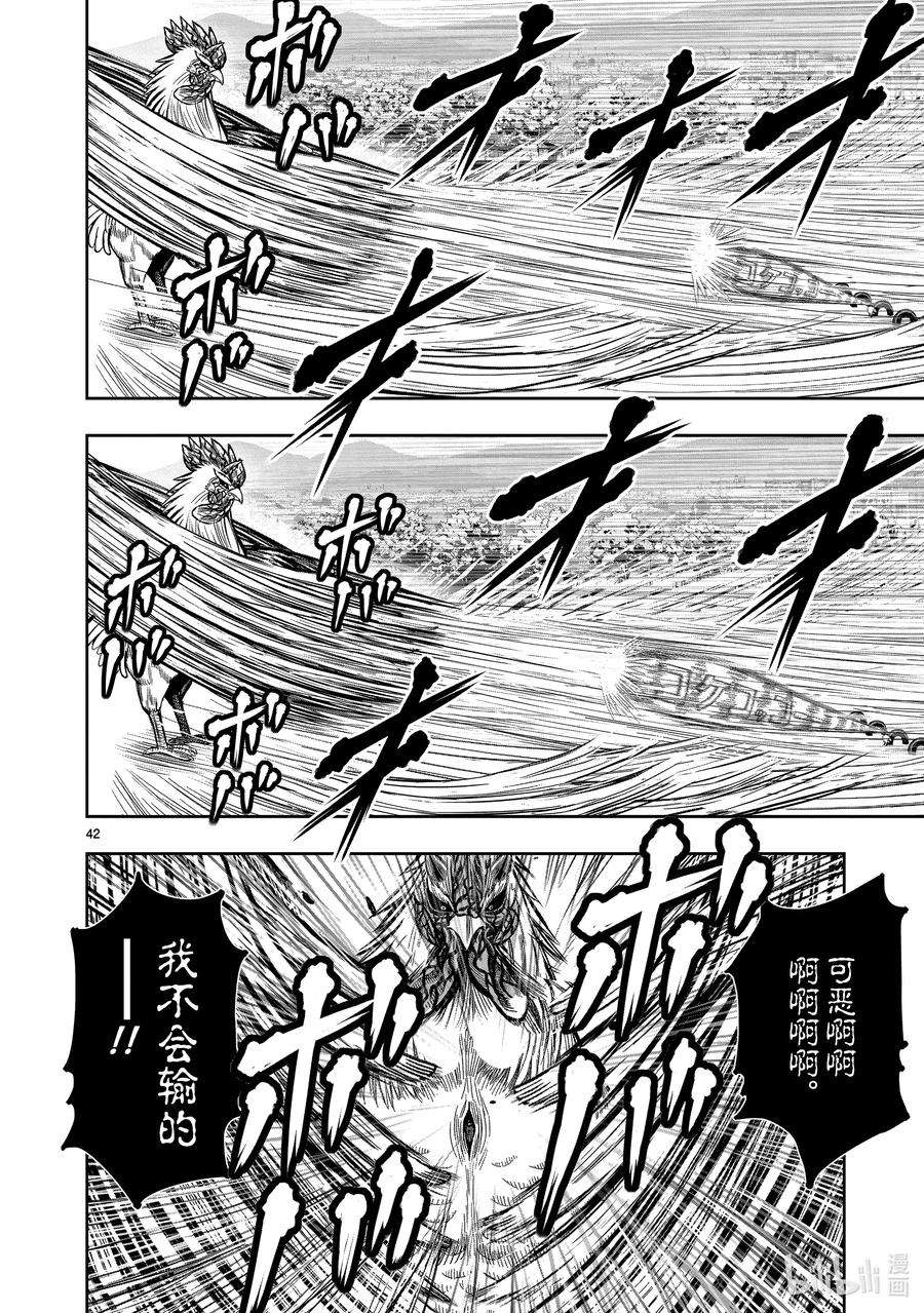 鸡斗士漫画,第11只 鸟尽弓藏 45图