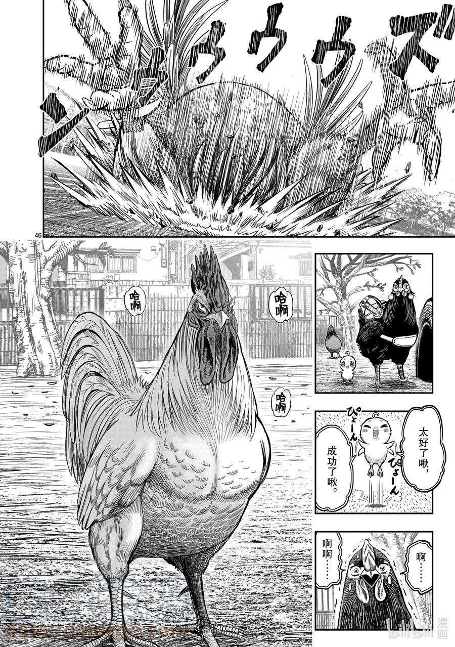 鸡斗士漫画,第11只 鸟尽弓藏 49图