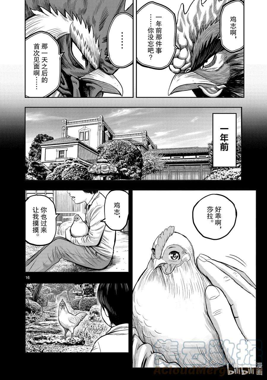 鸡斗士漫画,第11只 鸟尽弓藏 19图