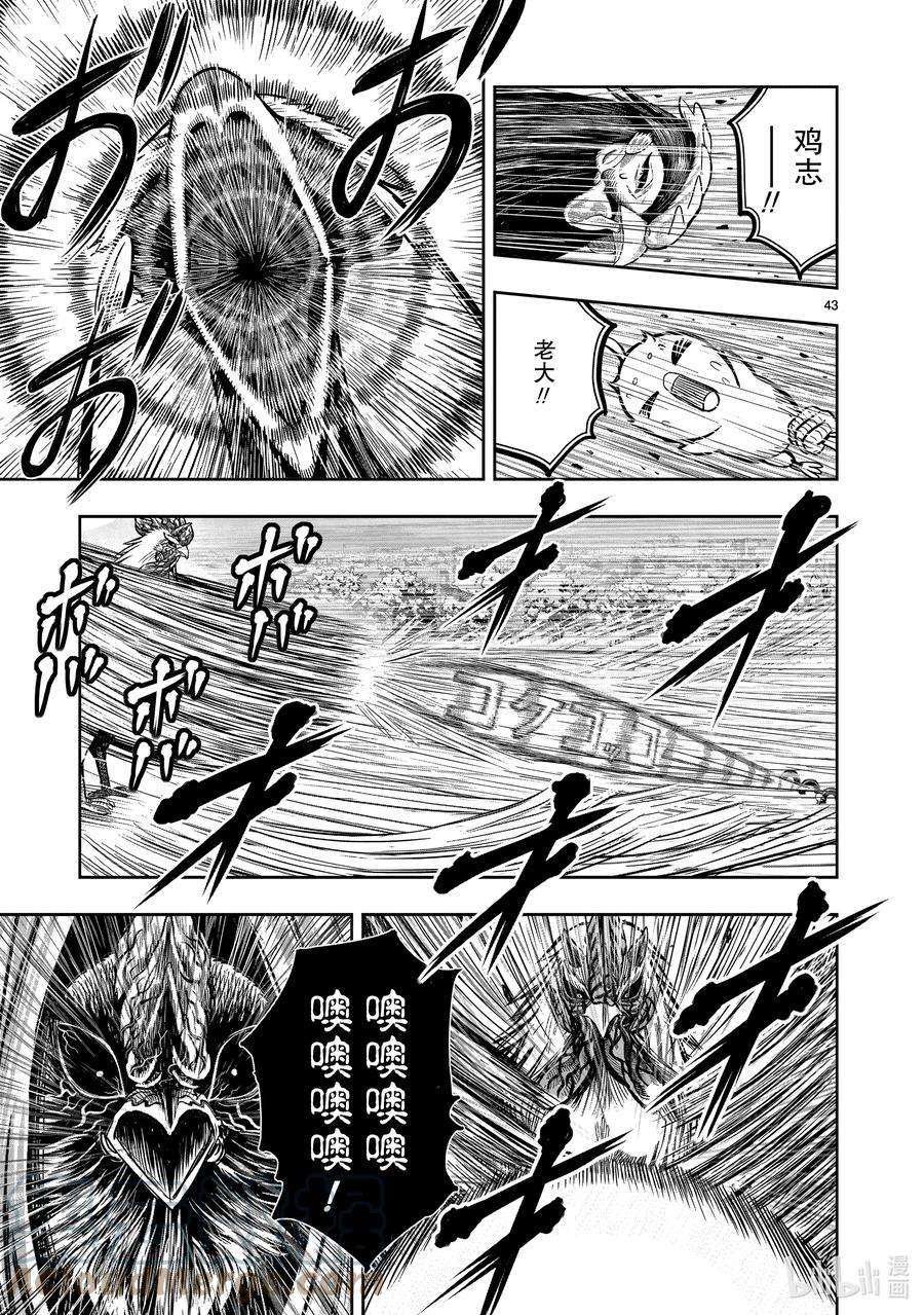 鸡斗士漫画,第11只 鸟尽弓藏 46图