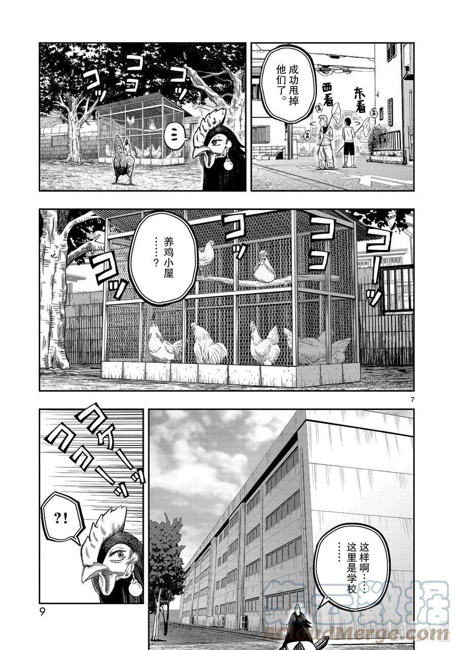 鸡斗士漫画,第11只 鸟尽弓藏 10图