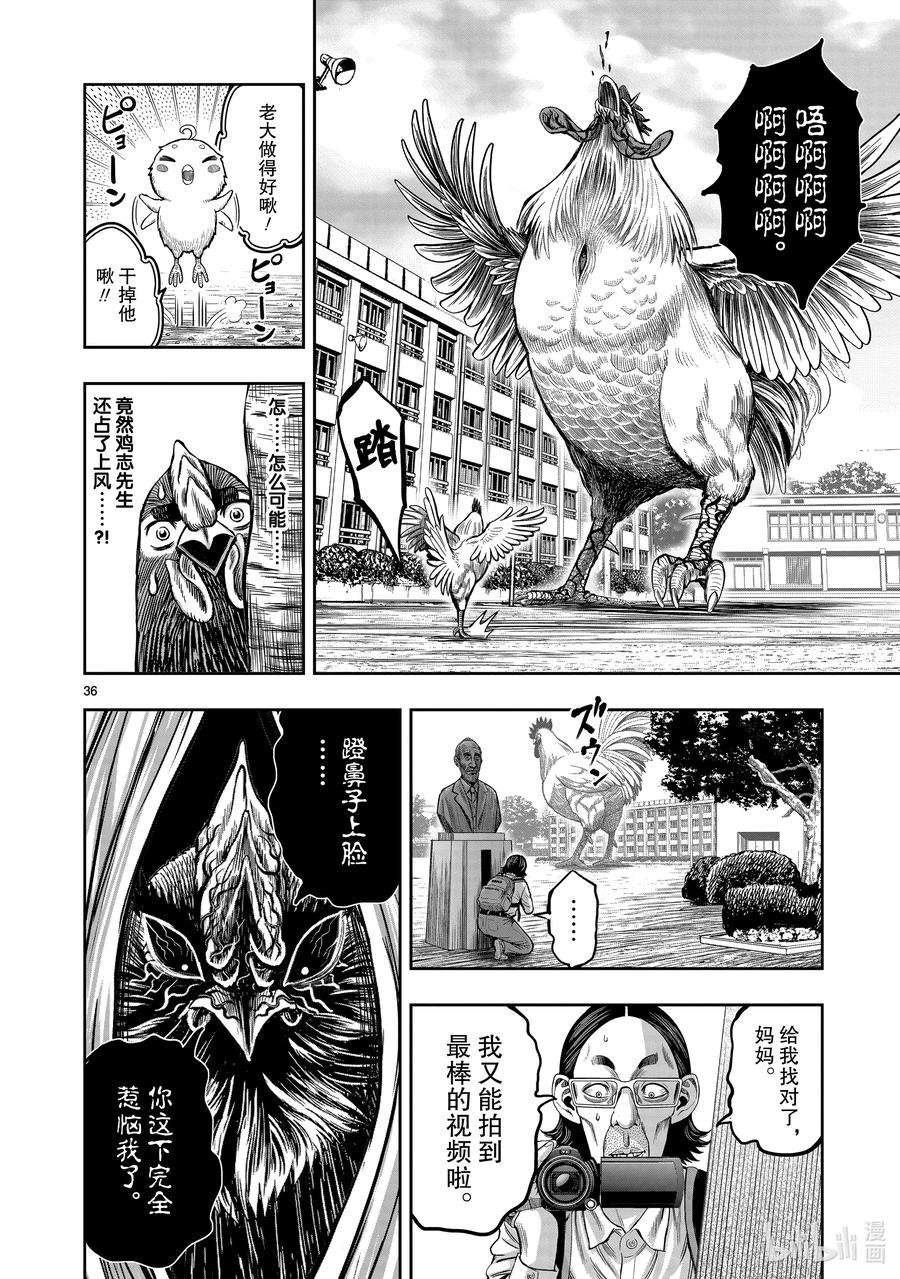 鸡斗士漫画,第11只 鸟尽弓藏 39图