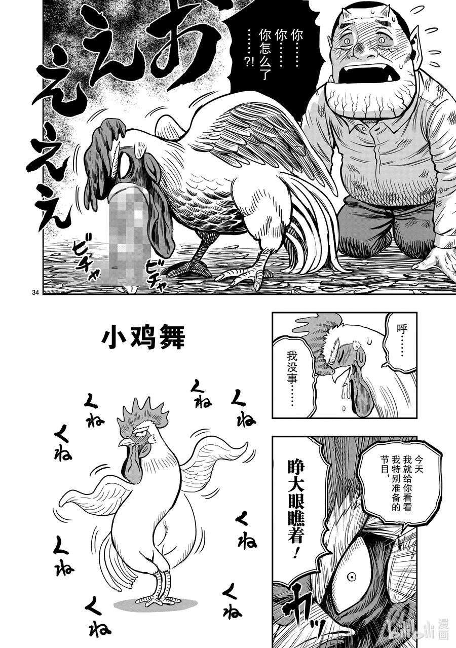 鸡斗士漫画,第12只 池鱼笼鸟 34图