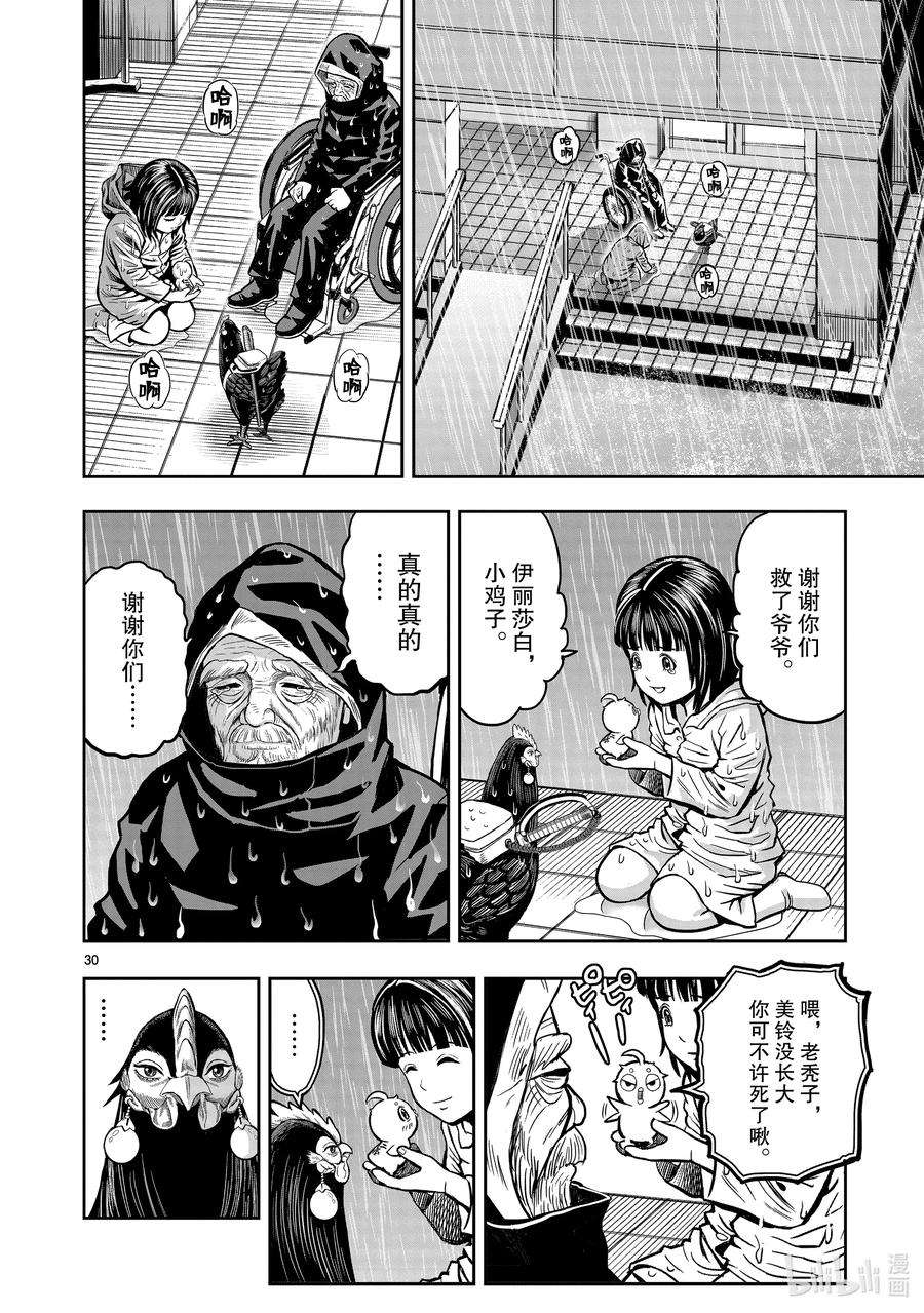 鸡斗士漫画,第13只 花鸟讽咏 30图