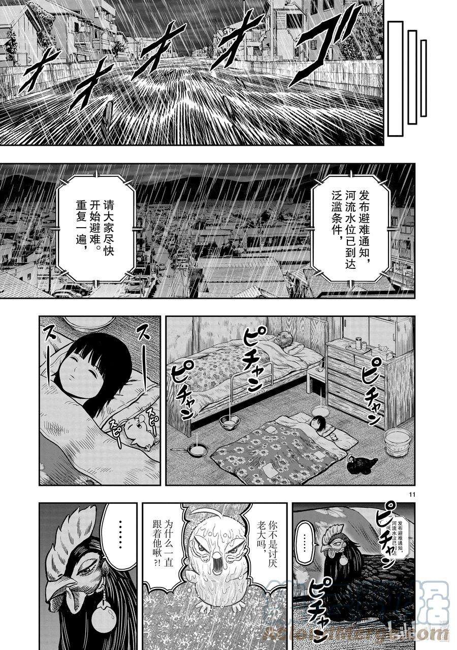 鸡斗士漫画,第13只 花鸟讽咏 11图