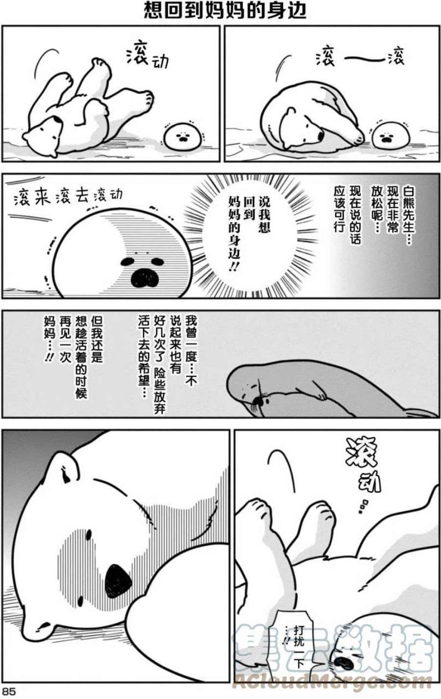 恋爱的白熊漫画,5 暴风雪之夜 5图