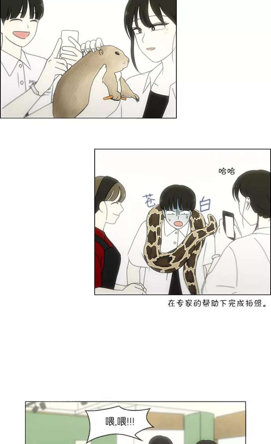 恋爱革命大结局漫画,[第230话] HBJY 21图