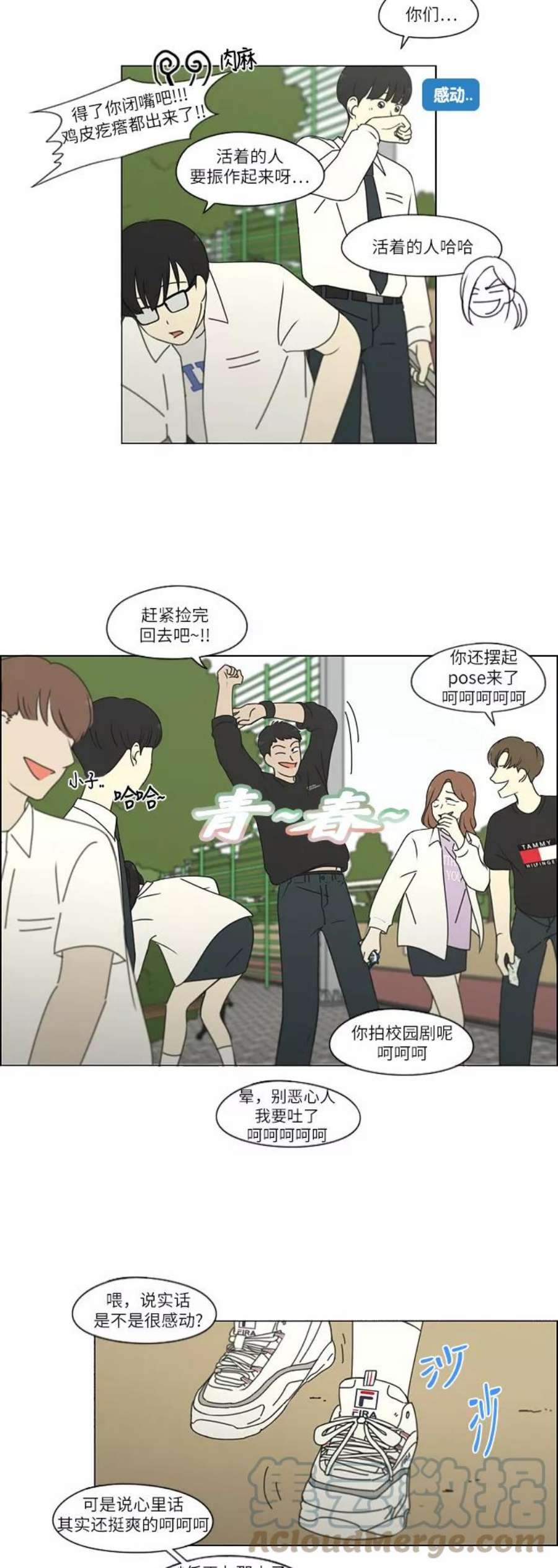 乙女的恋爱革命漫画,[第248话] 魔方 17图