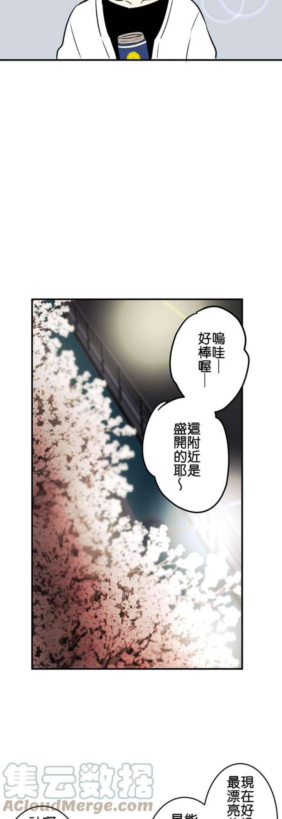 恋癖漫画,第147话：樱花凋谢 7图