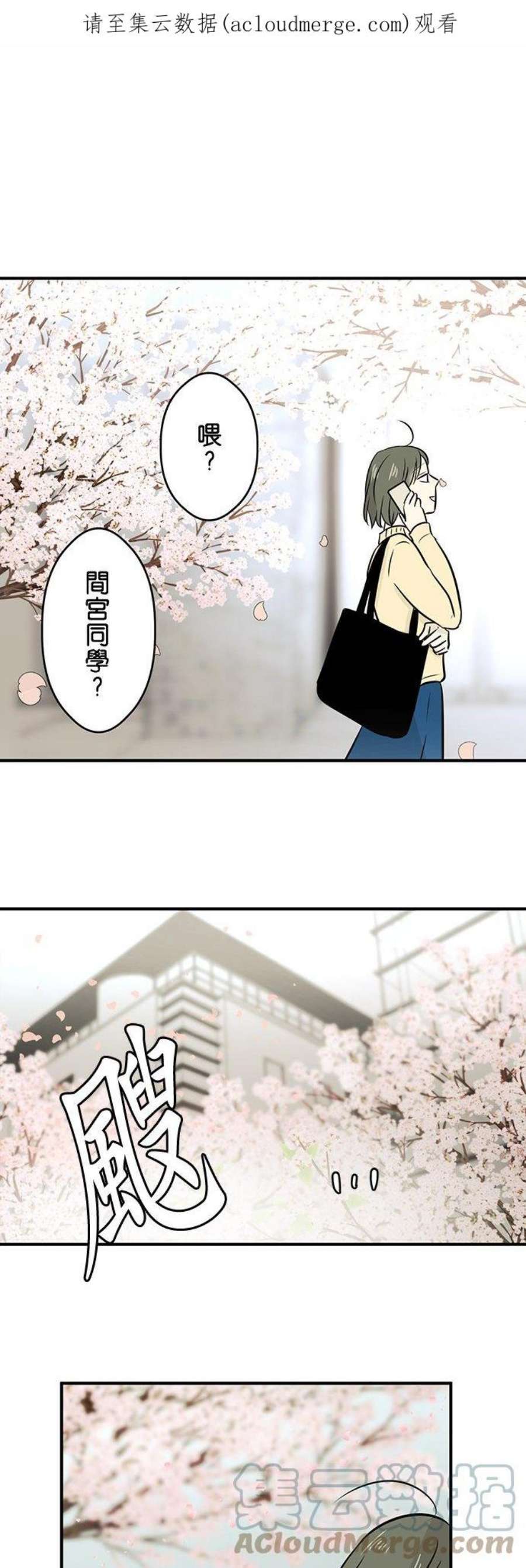 恋癖漫画,第147话：樱花凋谢 1图