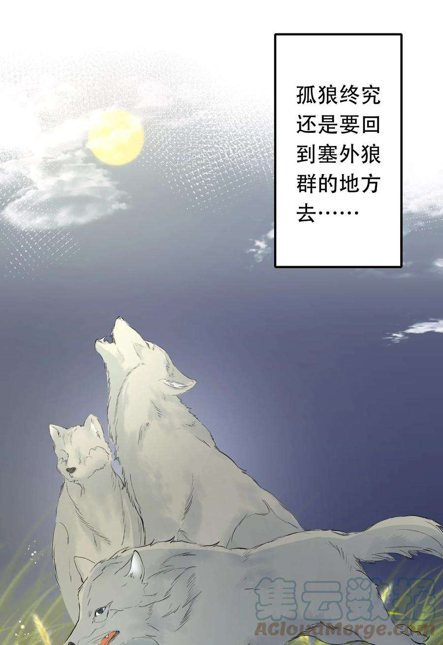 乱世为王小说简介漫画,013 摸鱼儿·孤狼 97图