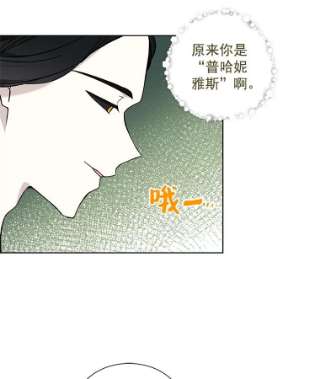 绿荫之冠免费下拉式漫画,16.这是…精灵？ 62图