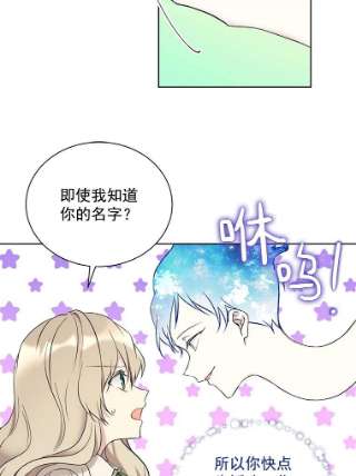 绿荫之冠免费阅读漫画,16.这是…精灵？ 38图