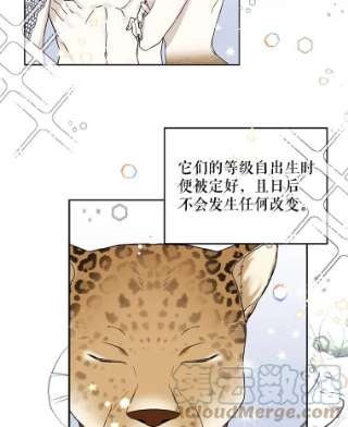 绿荫之冠漫画免费阅读下拉式漫画,17.我不是作者？ 16图