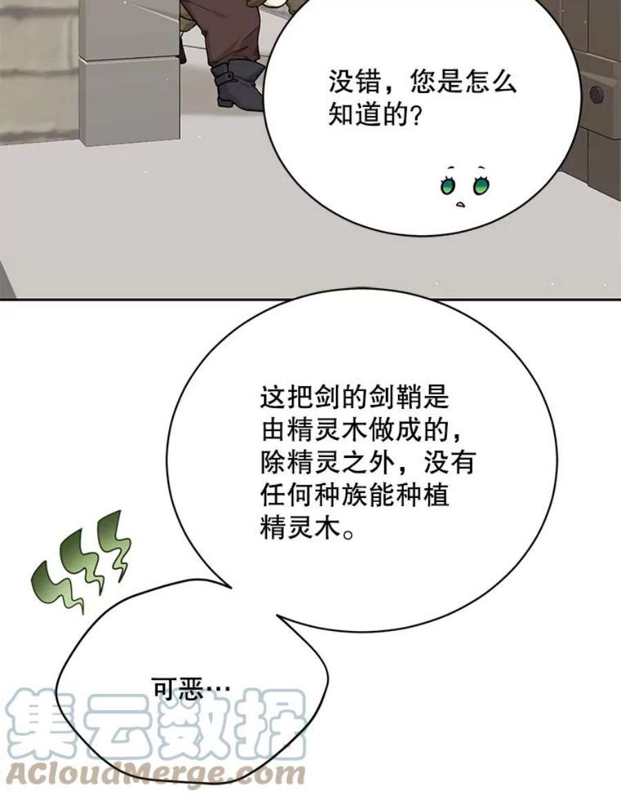 绿荫之冠漫画,76.观光 37图