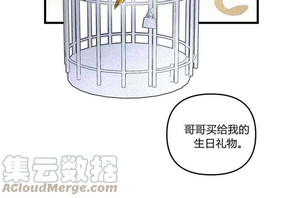 魔女居住的岛屿结局解析漫画,第03话 49图