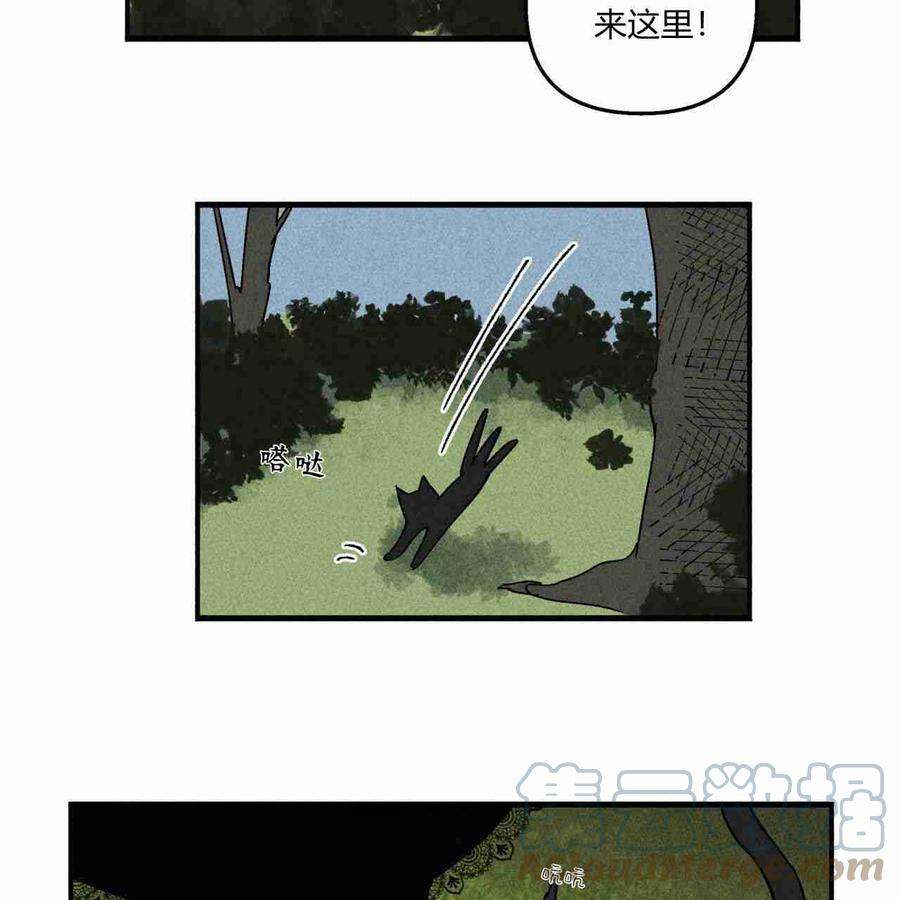 魔女居住的岛屿结局解析漫画,第11话 13图