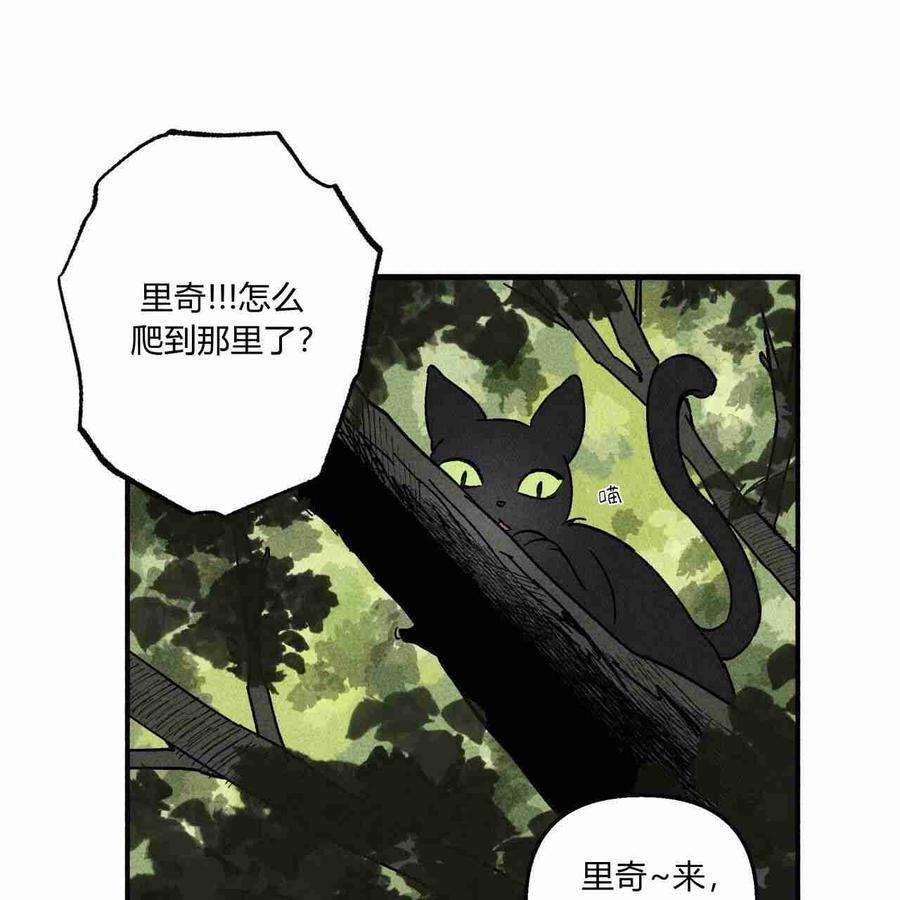 魔女居住的岛屿漫画,第11话 12图