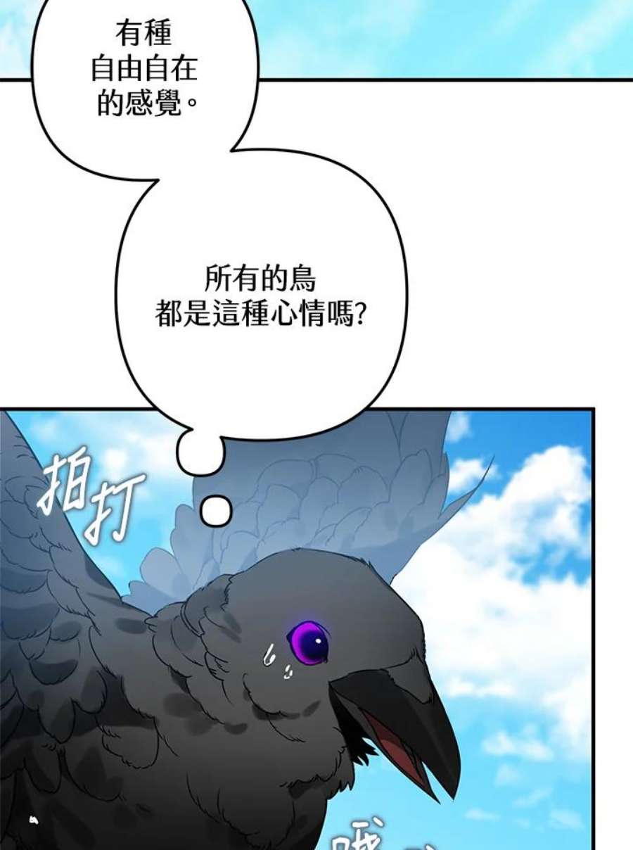 偏偏变成了乌鸦漫画,第1话 71图