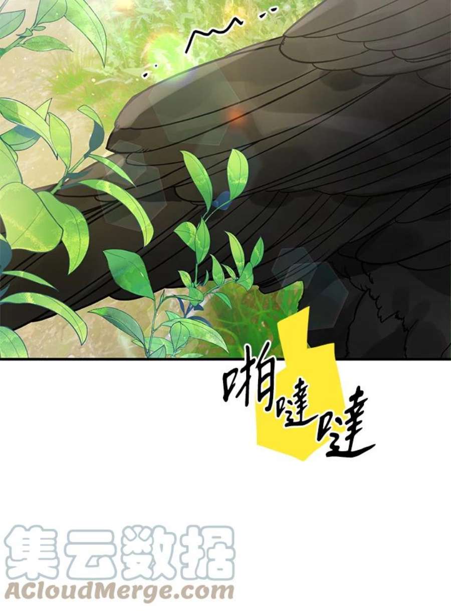 偏偏变成了乌鸦漫画,第1话 33图