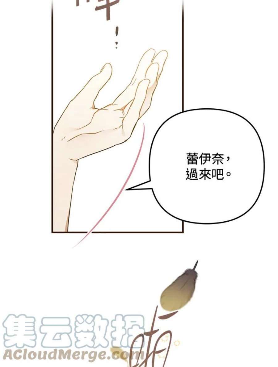 偏偏变成了乌鸦漫画,第5话 41图