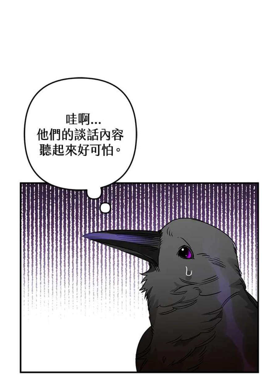 偏偏变成了乌鸦漫画,第5话 78图