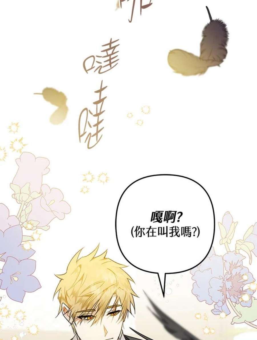 偏偏变成了乌鸦漫画,第5话 42图