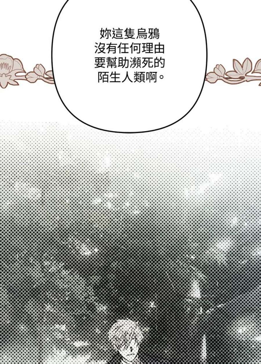 偏偏变成了乌鸦漫画,第14话 108图