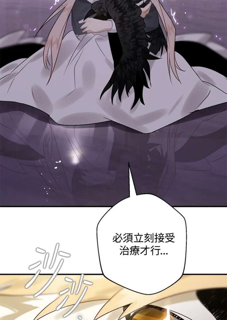 偏偏变成了乌鸦漫画,第19话 83图