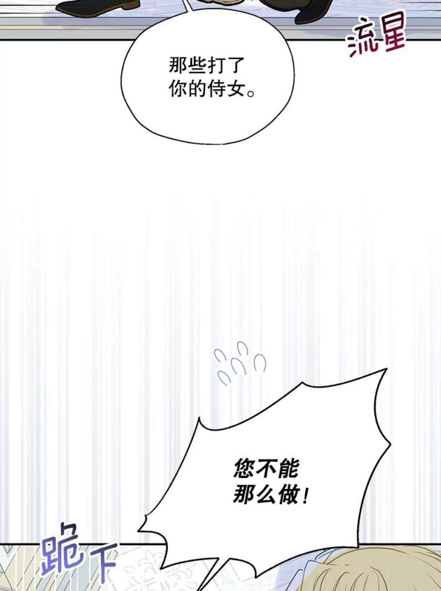 漂亮陛下别杀我全文阅读漫画,74.阿努尔夫的侍女们 65图