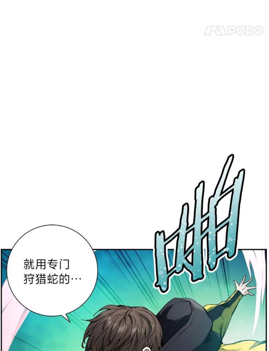 破碎圣座的回归漫画最新章节漫画,4.帕比尔萨格 43图