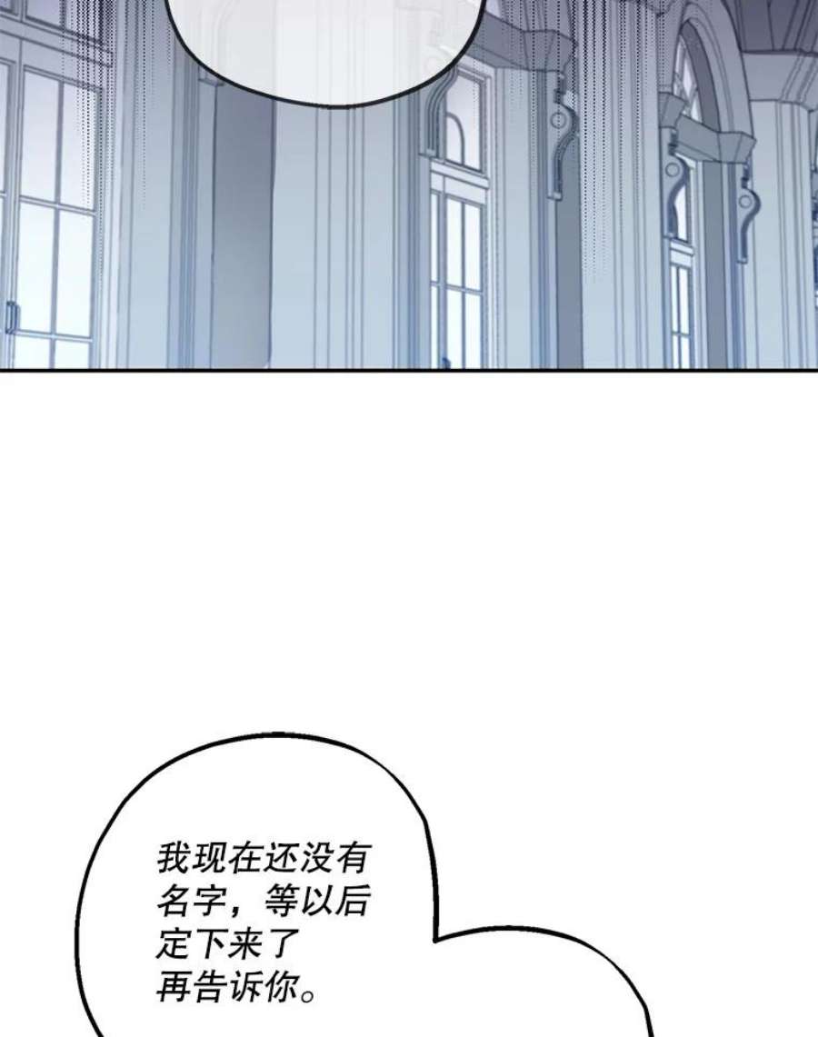 请张嘴金汤匙来了漫画漫画,2.求婚乌龙（2） 65图