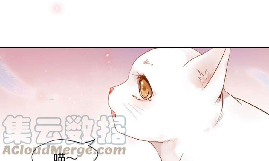 上仙缺猫否漫画免费全集漫画,我抓到你了 73图