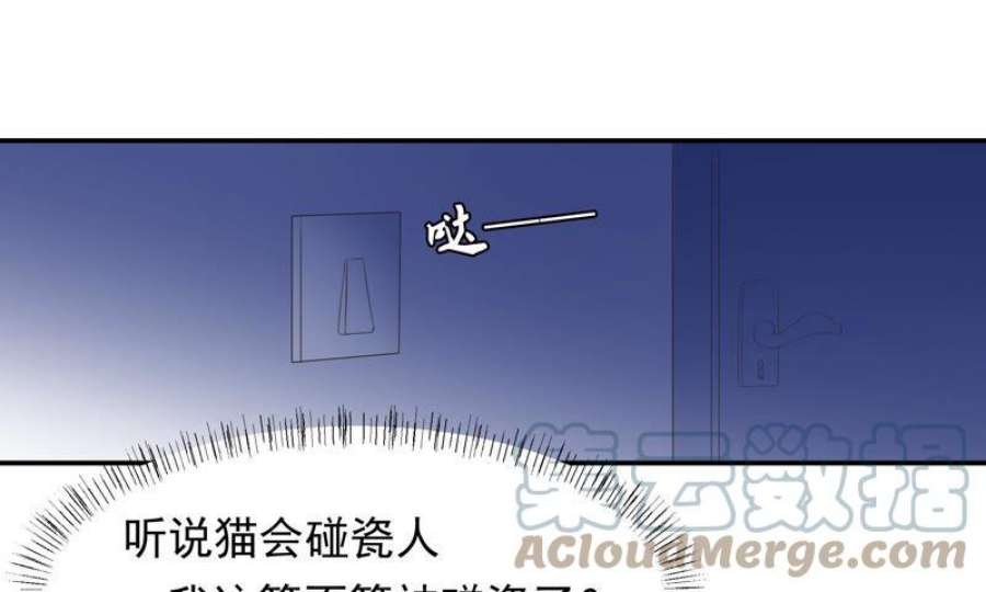 上仙缺猫否漫画免费全集漫画,被猫碰瓷了 82图