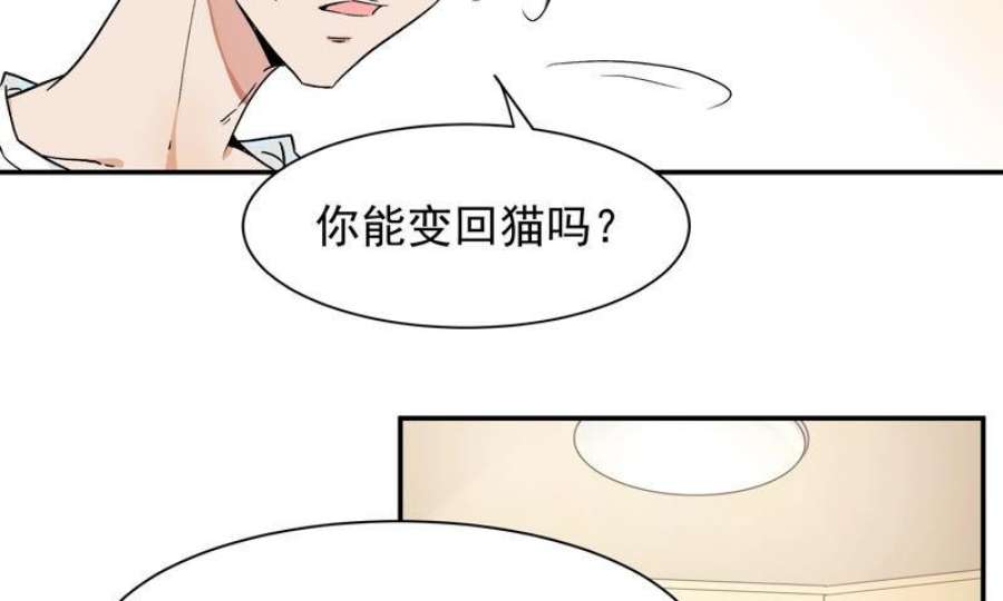 上仙缺猫否漫画免费全集漫画,被猫碰瓷了 75图